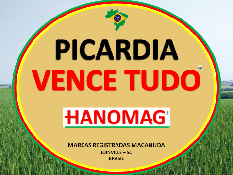 PICARDIA VENCE TUDO E HANOMAG MÁQUINAS EM DIAMANTINO MT